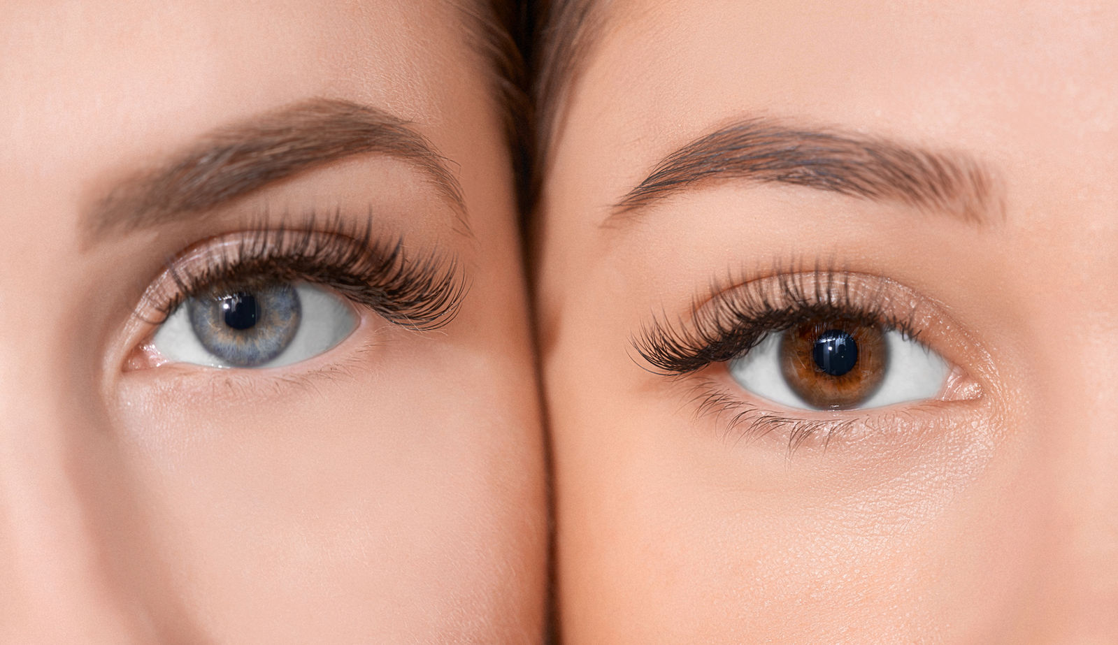 Powder Brows: schattierte Augenbrauen bei zwei Frauen